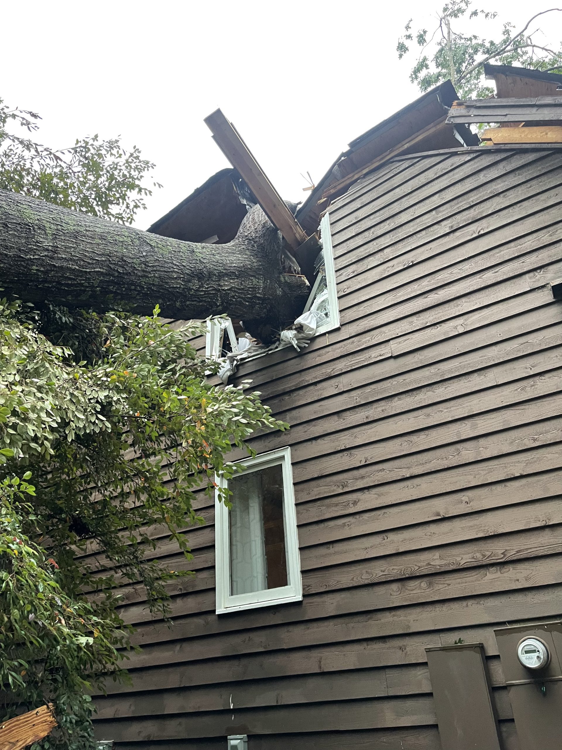 Emergency tree removal Raleigh
