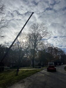 Snow-covered home in North Raleigh after a rare winter storm, with mature oak and pine trees heavily coated in fresh snow and ice on branches – highlighting the exact weight and hazard conditions that make pre-winter tree risk assessments and removal critical.