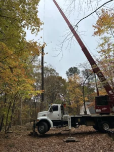 Downtown Tree Removal Project Using a Crane