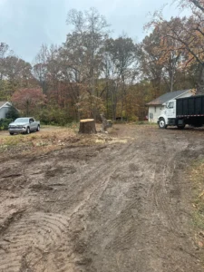 This stump will be ground up later