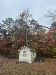 A crane is used to remove large trees over a shed