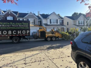 The chipper is in action, grinding branches and debris from the removed maple tree into mulch during a North Raleigh Tree project.